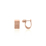Load image into Gallery viewer, Earring Silver E08