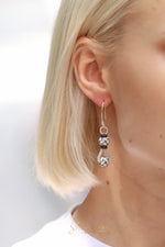 Load image into Gallery viewer, Earring Silver E05
